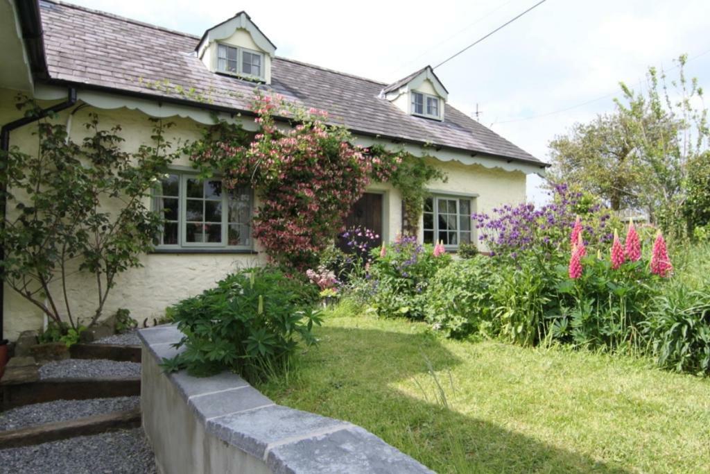 Parc Y Brenin Villa Dryslwyn Esterno foto