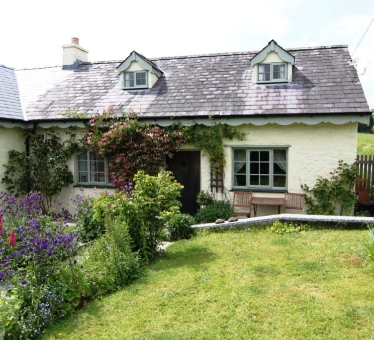 Parc Y Brenin Villa Dryslwyn Esterno foto